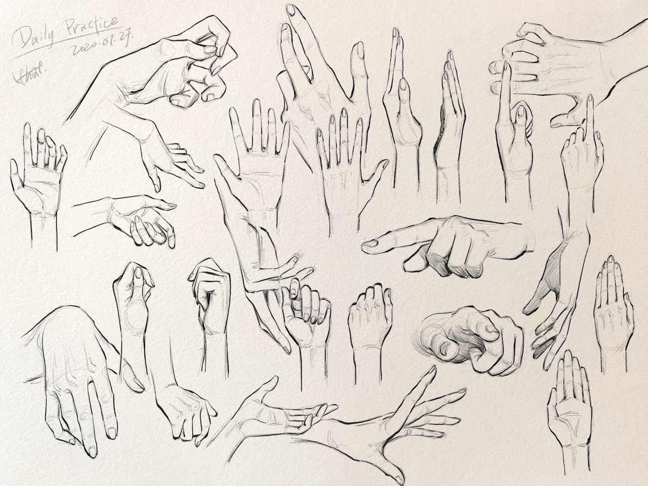 anatomical drawing of hands by H. Chia 笳彧