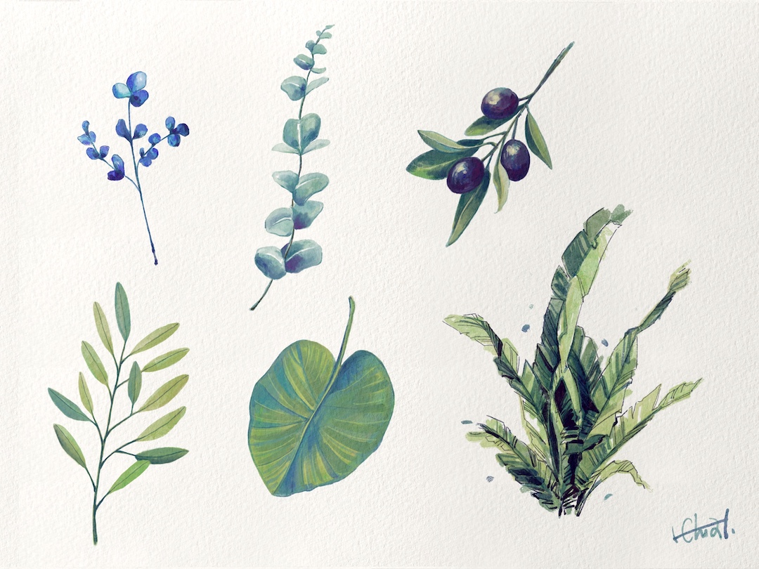 digital illustration of leaves in Procreate by H. Chia 笳彧