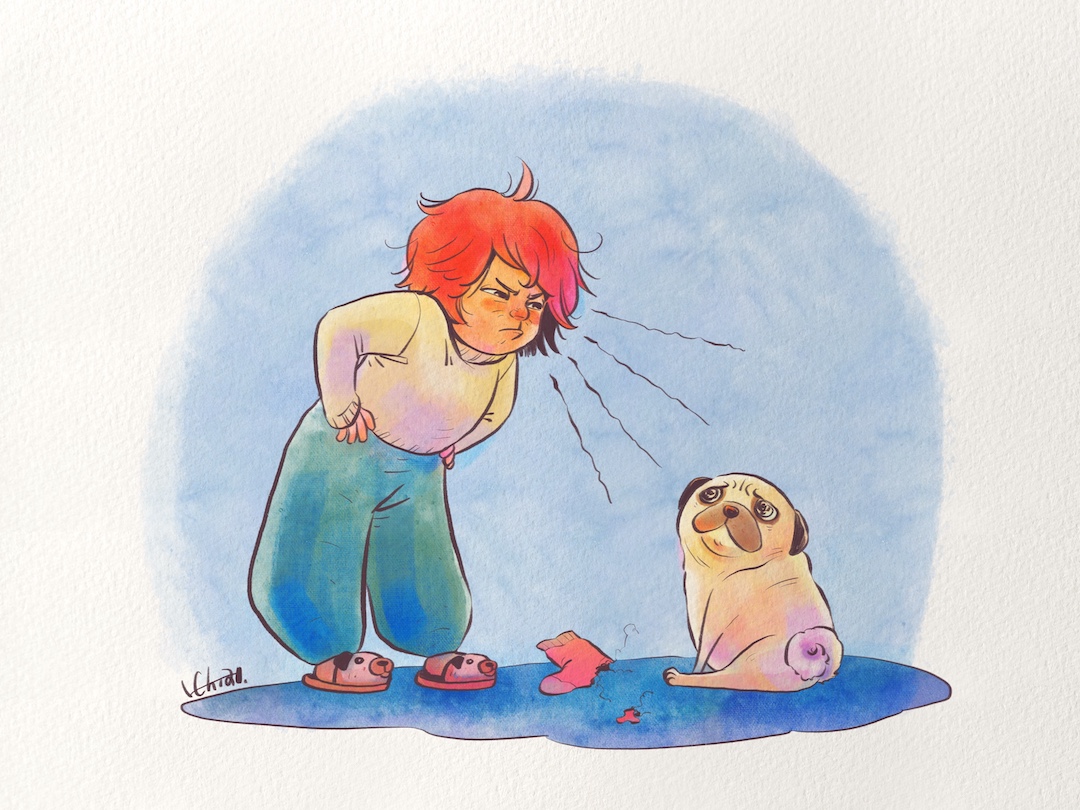 Children's book illustration (girl and pug dog) by H. Chia 笳彧